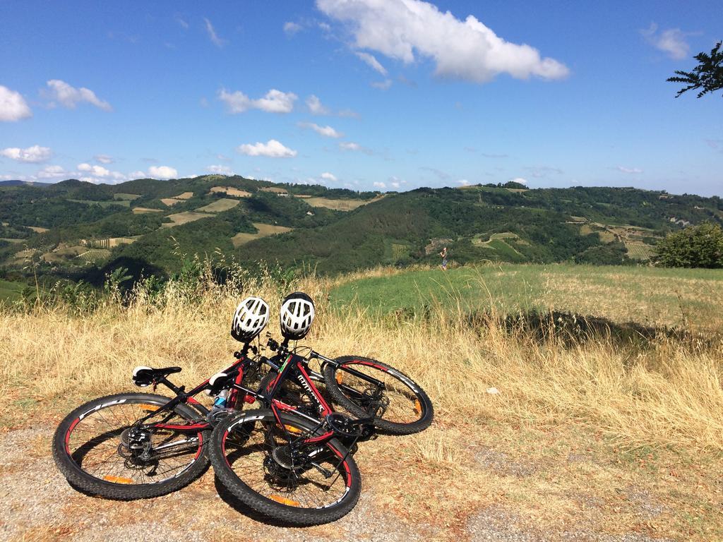 Brisighella Green Wellness Buitenkant foto