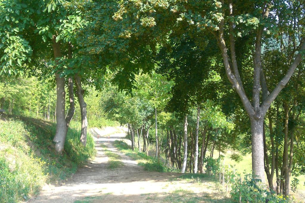 Brisighella Green Wellness Buitenkant foto